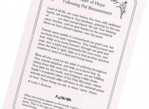 Prayer Cards Archives Anglican Society For The Welfare Of Animals